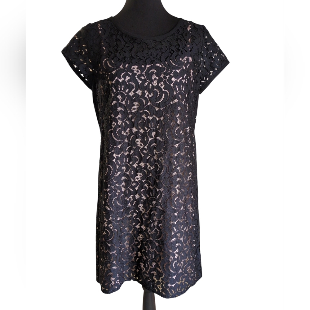 Elegant Black Lace Dress